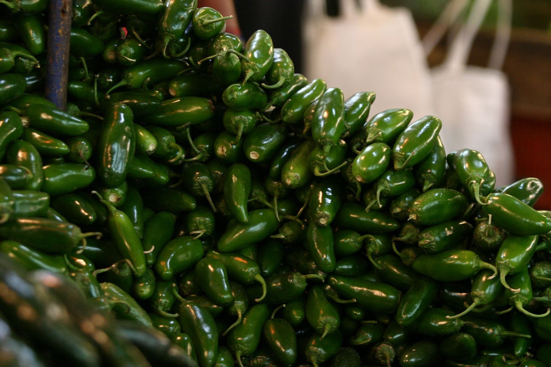 Cofepris descarta presencia de salmonela en chiles jalapeños de Nuevo León tras alerta sanitaria de EE. UU.