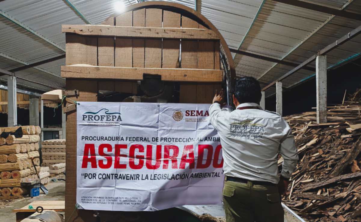 Profepa clausura centros forestales y asegura más de 700 metros cúbicos de madera en Chiapas