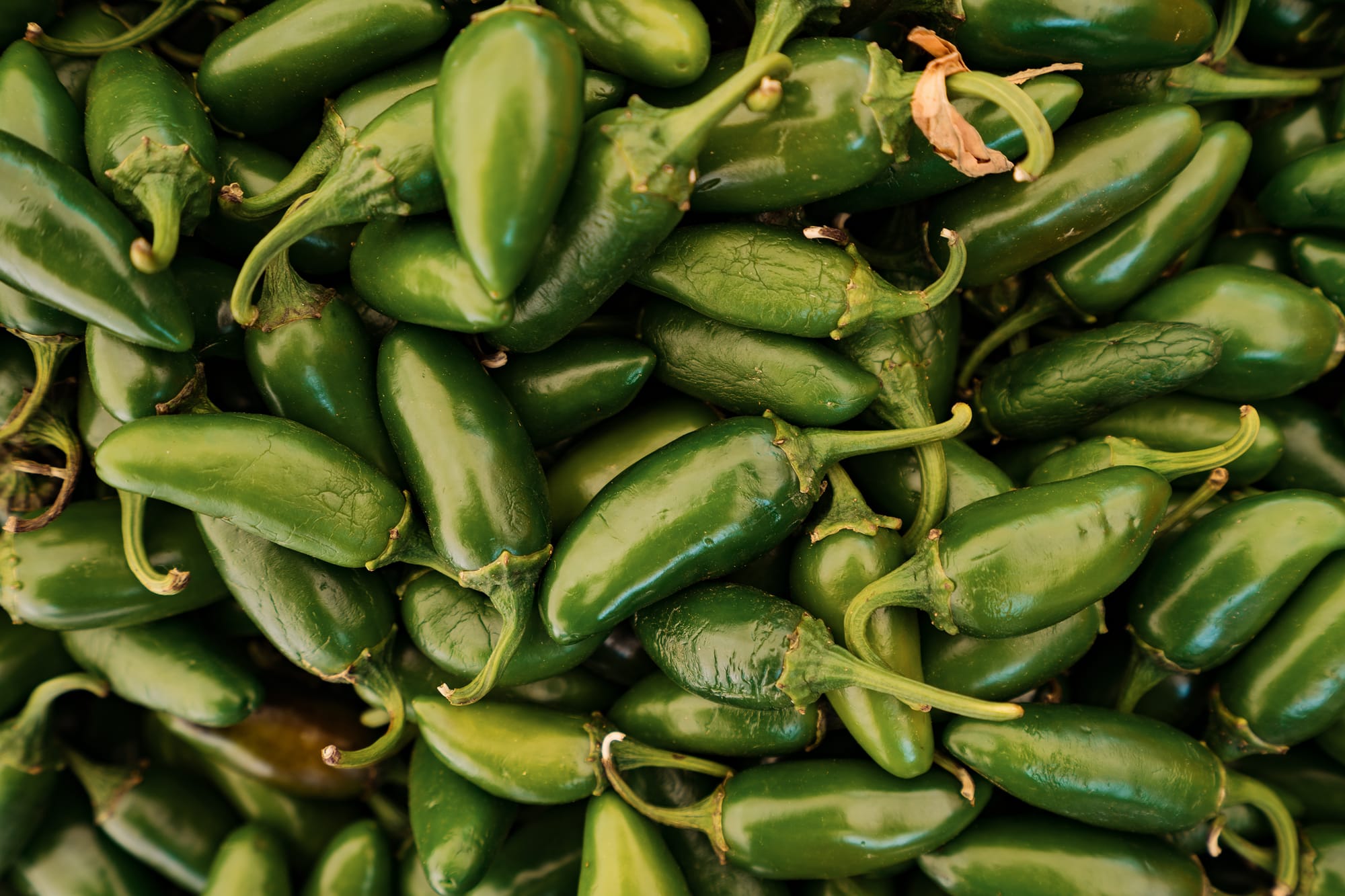 Cofepris descarta presencia de salmonela en chiles jalapeños de Nuevo León