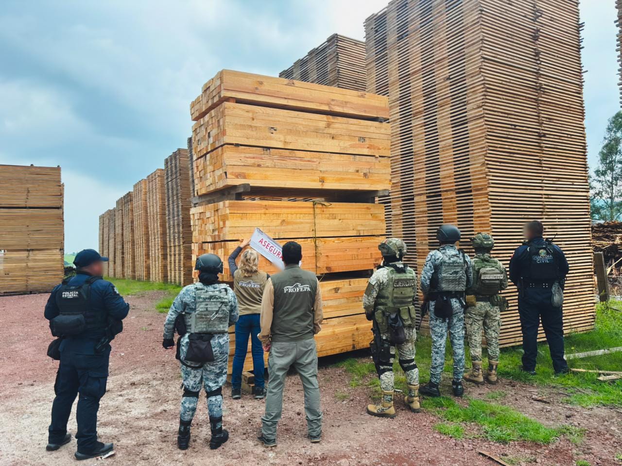 Profepa asegura más de 3 mil metros cúbicos de madera y clausura 27 sitios en operativo nacional