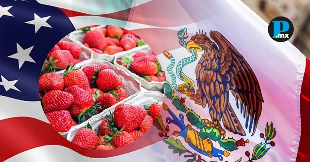 EE. UU. impone cuotas antidumping a la fresa mexicana; México advierte violaciones al T-MEC y a la OMC