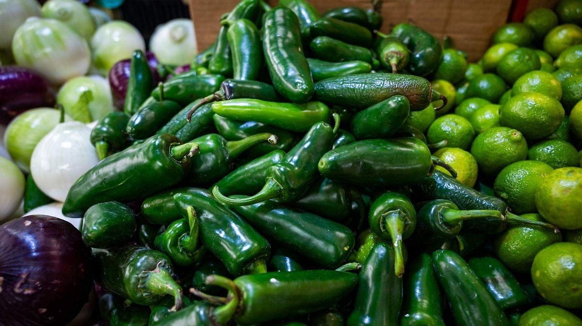 Cofepris descarta presencia de salmonela en chiles jalapeños procesados en Nuevo León
