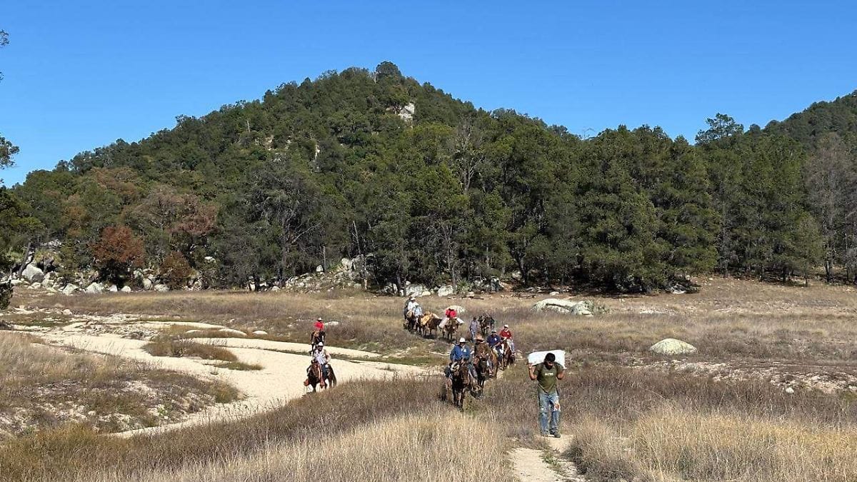Llaman a consulta pública ambiental sobre el tercer proyecto de 'Hermandad en Armonía' en Sierra La Laguna
