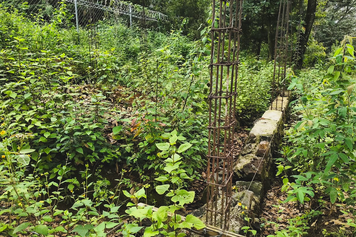 Clausura Profepa predio en Tenancingo por cambio ilegal de uso de suelo forestal