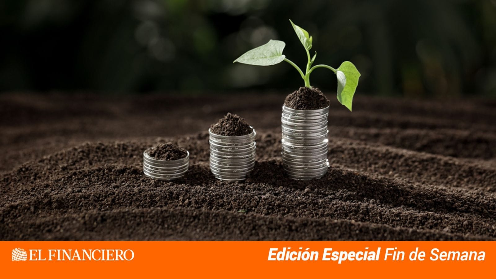 La naturaleza como activo financiero: El cambio de paradigma clave para la sostenibilidad global
