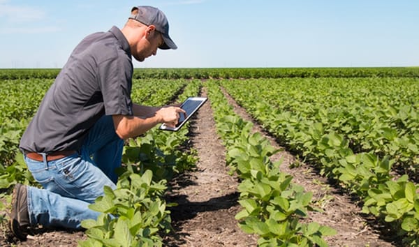 Almería impulsa la digitalización del sector agroalimentario mediante inteligencia artificial