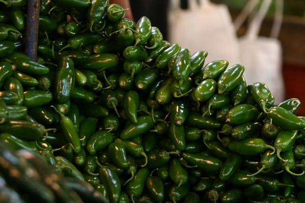 Cofepris descarta presencia de salmonela en chiles jalapeños de Nuevo León tras alerta sanitaria de EE. UU.