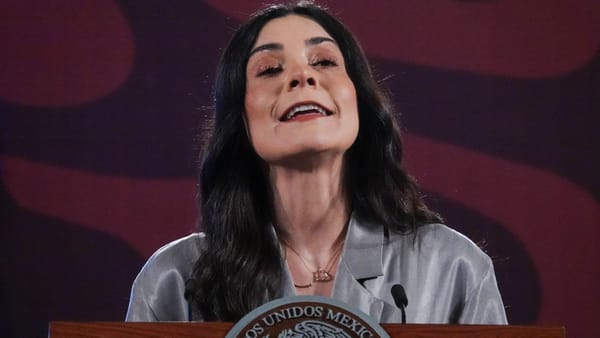 Resurgen tuits discriminatorios de Liz Vilchis; la exfuncionaria ofrece disculpas y afirma haber cambiado