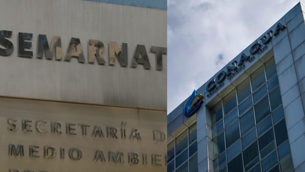 Inhabilitan a empresas por presentar información falsa en licitaciones de Semarnat y Conagua