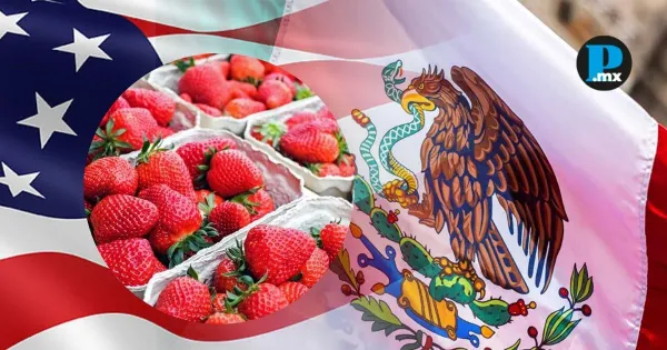 EE. UU. impone cuotas antidumping a la fresa mexicana; México advierte violaciones al T-MEC y a la OMC