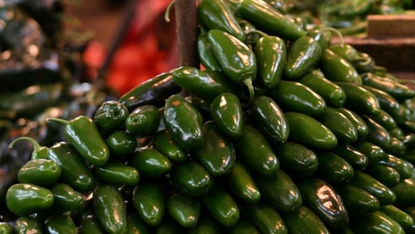 Cofepris investiga empacadora de chiles jalapeños en Nuevo León por brote de salmonela en EE. UU.
