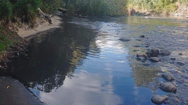 Profepa clausura parcialmente descarga de Sosapac al río Atoyac por irregularidades ambientales