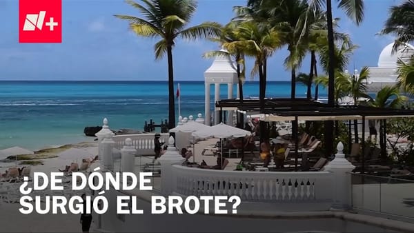 COFEPRIS vigila brote de ciclosporiasis en Quintana Roo e investiga su origen