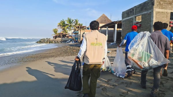 Retiran casi 1.8 toneladas de basura en exitosa jornada de limpieza en Playa Azul, Michoacán