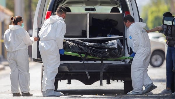 México reporta caída del 51% en homicidios dolosos a 22 meses de la Administración de Sheinbaum
