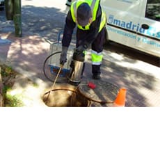 Guía para la prevención y el control de plagas de cucarachas en Madrid