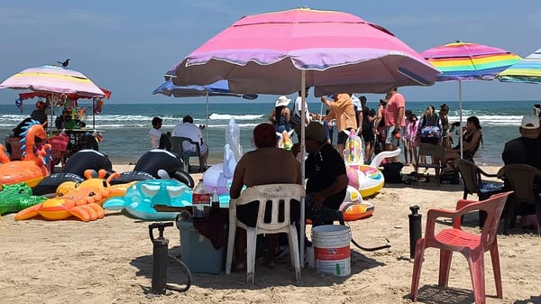 Operativo en Playa Miramar: Profepa y Marina retiran estructuras irregulares para liberar el litoral