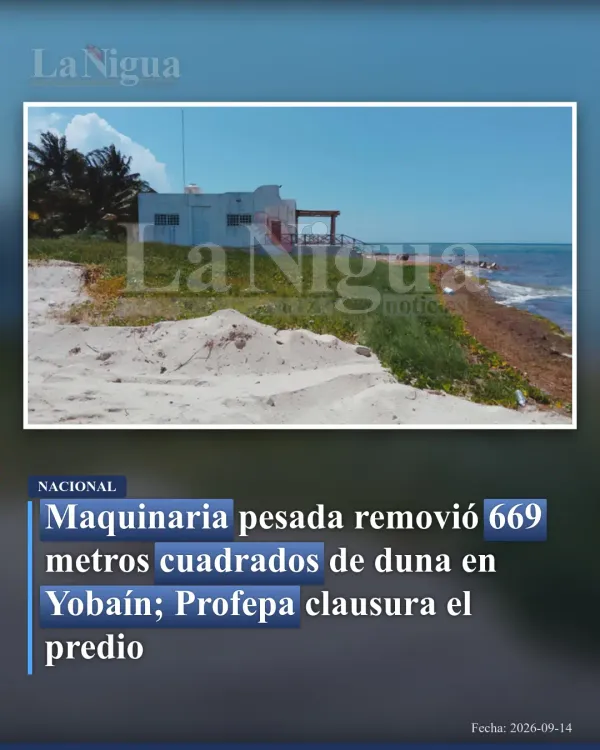 Profepa clausura predio en Yobaín, Yucatán, por remoción ilegal de dunas y daño a especies protegidas