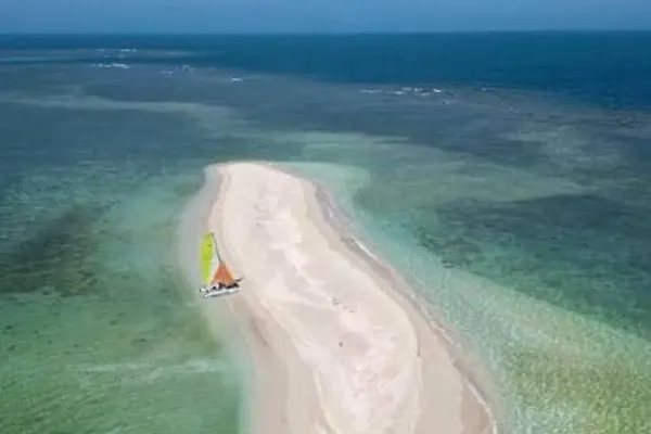 SEMAR presenta plan de mitigación ambiental para la ampliación del Puerto de Veracruz tras protestas