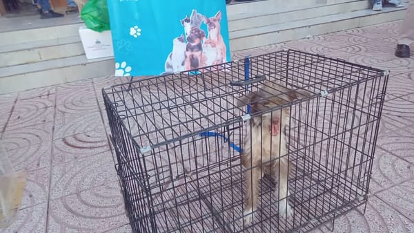 Defensa Civil Dominicana refuerza sus labores de asistencia y prevención en todo el país