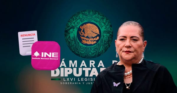 Guadalupe Taddei renuncia formalmente a la presidencia del INE ante la Cámara de Diputados