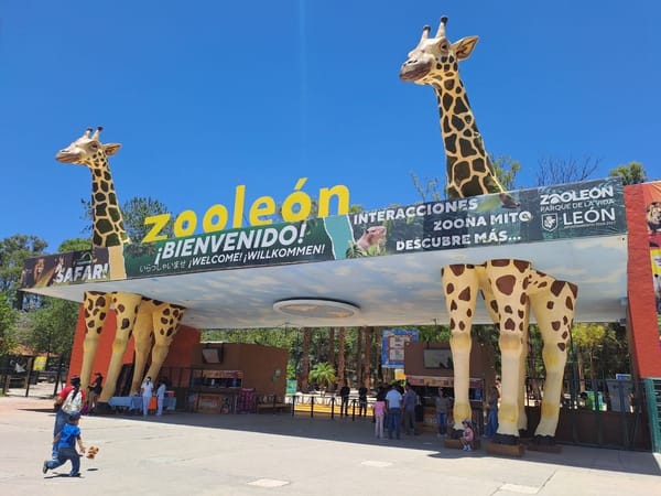 Profepa inspecciona el Zoológico de León tras la muerte de un pingüino, un yak y una cebra