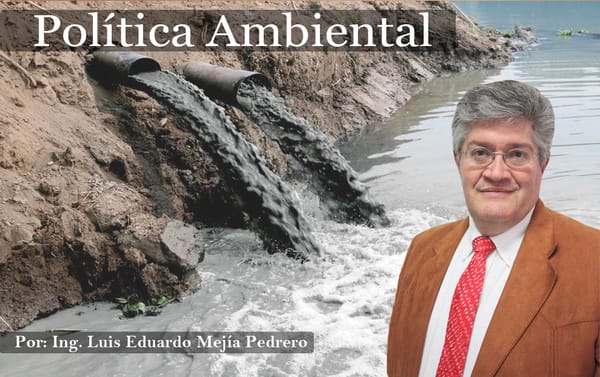 Acciones locales contra el cambio climático: la clave municipal para un futuro sostenible