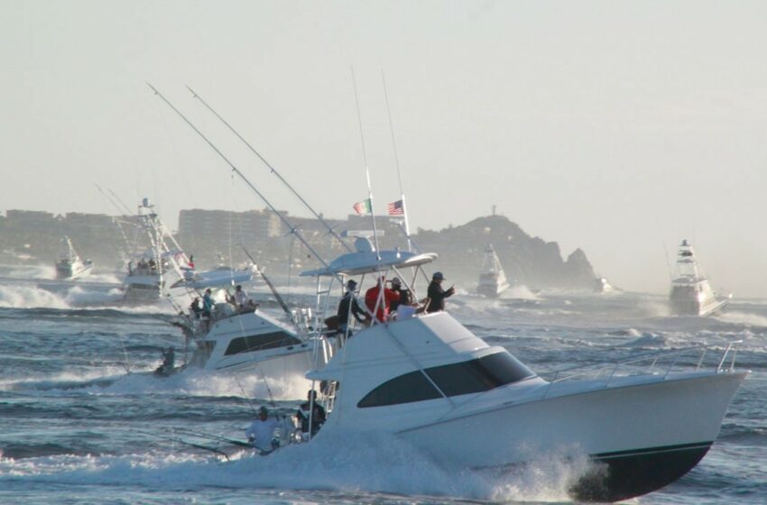 Qué torneos de pesca deportiva siguen en Baja California Sur – Big Fish