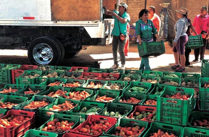  Bancos de alimentos, el puente entre abundancia y necesidad – El Economista (México)