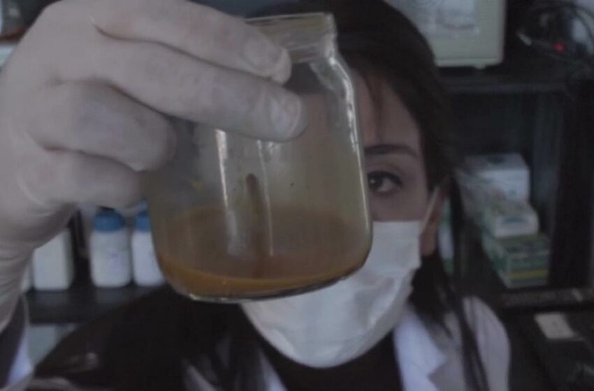  Una bacteria "se come" los residuos mineros en Chile | Video – CNN en Español