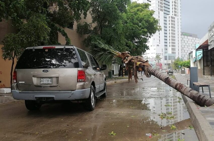  El huracán ‘Pamela’ causa daños menores en al menos 4 estados