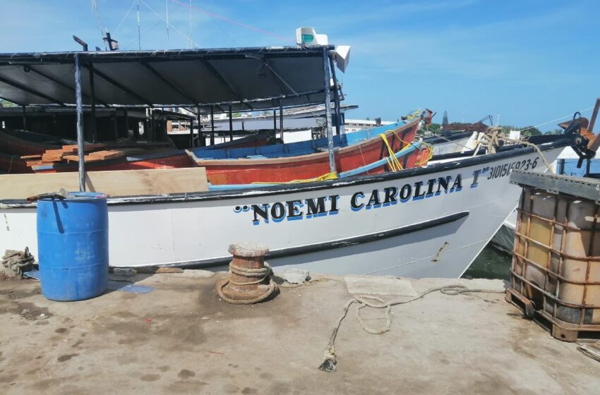  Falta controlar a barcos de pesca – El Diario de Yucatán
