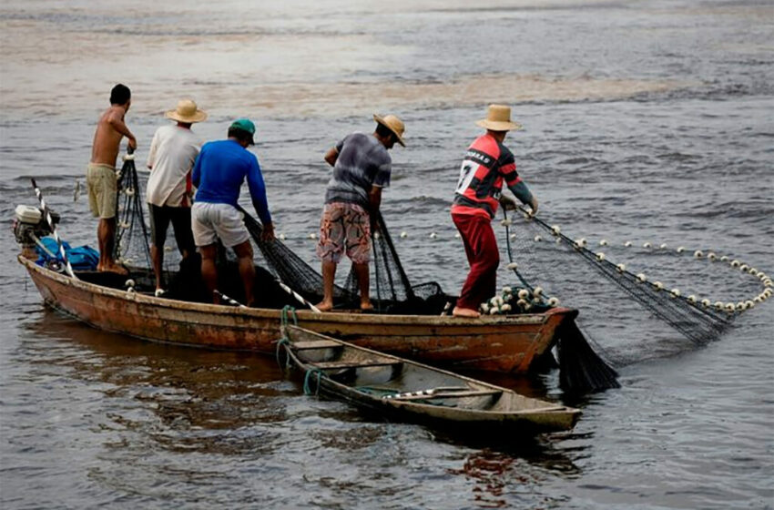  Pescadores veracruzanos se encuentran preocupados tras la disminución de las especies …