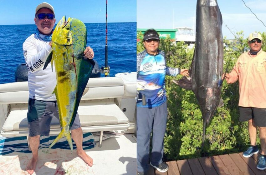 Este domingo, Torneo Offshore Altata Entre Amigos 2021 – Big Fish