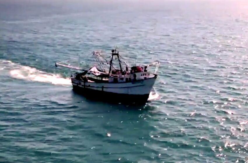  Pesca ilegal deja a la deriva a barcos camaroneros en Mazatlán, Sinaloa