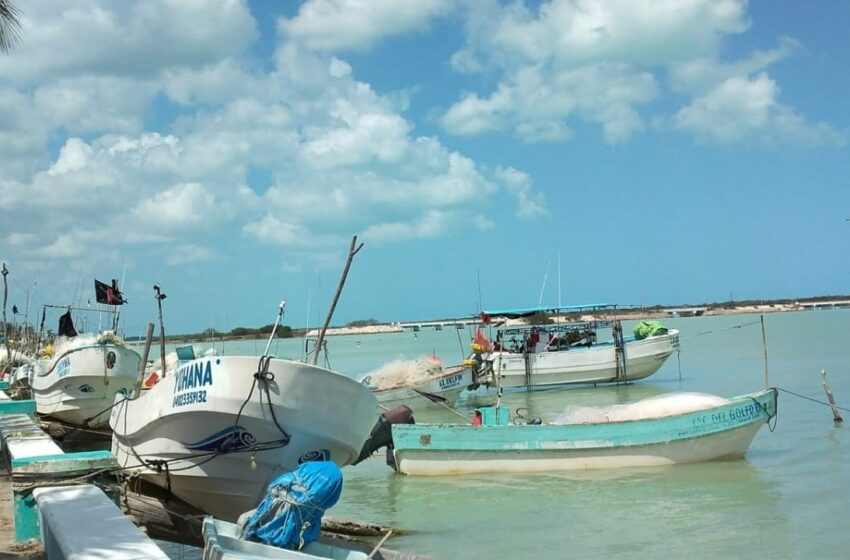  Pescadores de Sabancuy esperan su apoyo económico de Bienapesca en Campeche | PorEsto