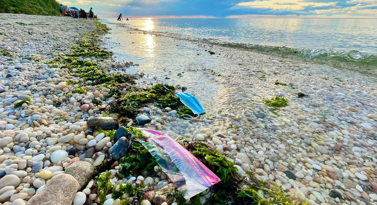  El plástico, que ya ha atragantado nuestros océanos, terminará por asfixiarnos a todos si no …