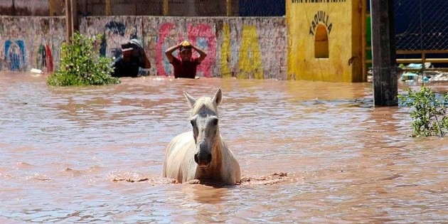  Huracán "Pamela" deja más de 11 mil damnificados en Nayarit y Sinaloa
