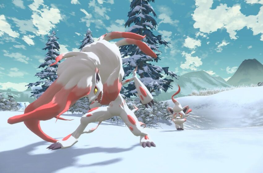 Pokémon Legends: Arceus y las nuevas formas de Zorua y Zoroark