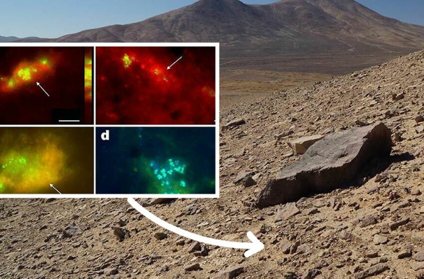  Advierten que Marte “imita a la vida” y puede engañar a los científicos