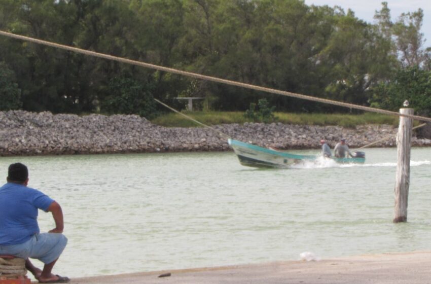  Se para la pesca de nuevo en Progreso, ahora por el frente frío 7 – El Diario de Yucatán