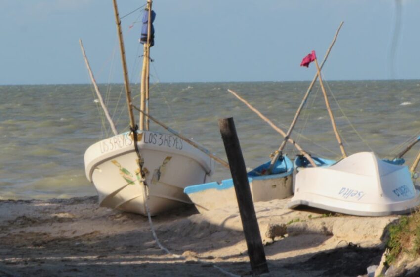  Fugaz tregua para pescar en Progreso – El Diario de Yucatán