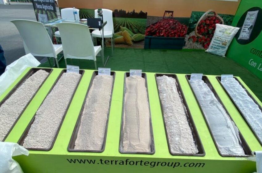  Campo: Ofrece Terraforte fertilizantes minerales benéficos con el medio ambiente y que …