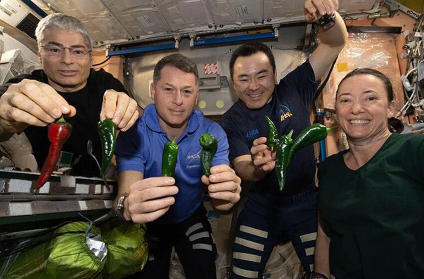  Tripulantes de Space X usarán pañales de regreso a la Tierra