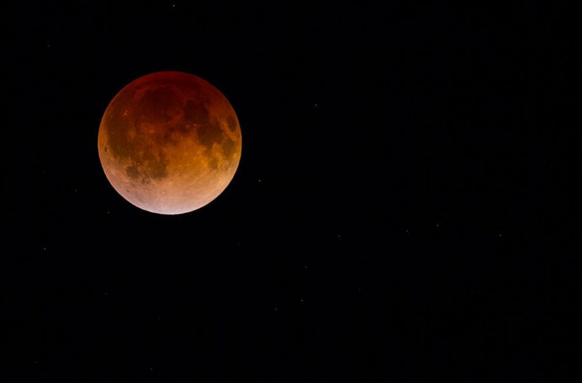  Eclipse lunar del 19 de noviembre: ¿cómo y dónde se podrá ver?