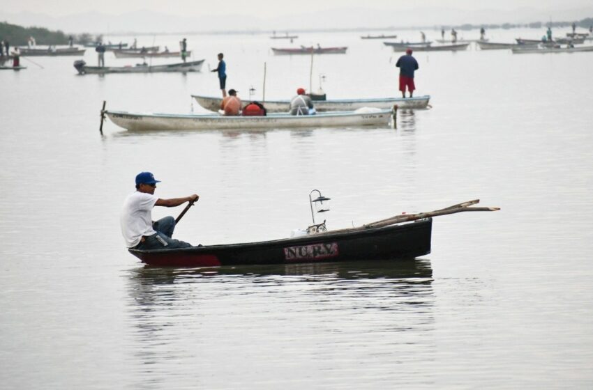  Pescadores ribereños de Mazatán piden cobro del apoyo de Bienpesca – Debate