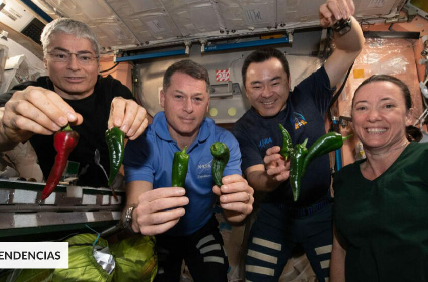  Astronautas de la NASA celebran experimento con los primeros «tacos espaciales»