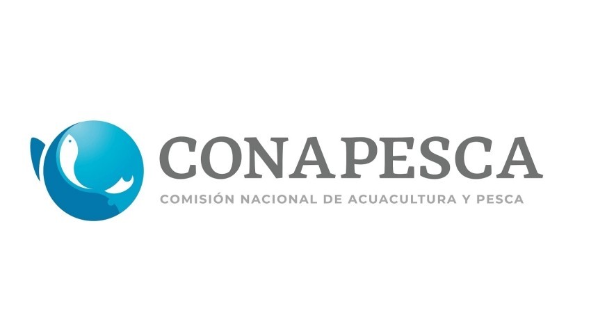  Desmienten desaparición de la Conapesca | Diario El Independiente
