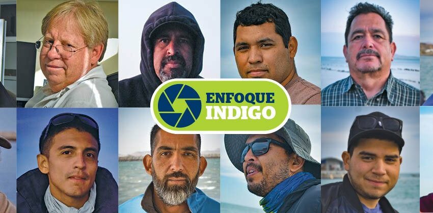  Luchan por el Mar de Cortés – Reporte Indigo
