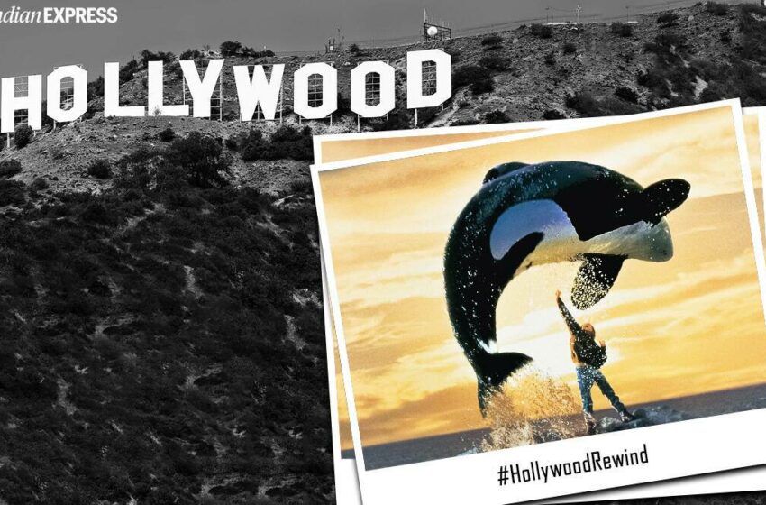  Hollywood Rewind | Free Willy: De amistades inverosímiles y preservación del medio ambiente.